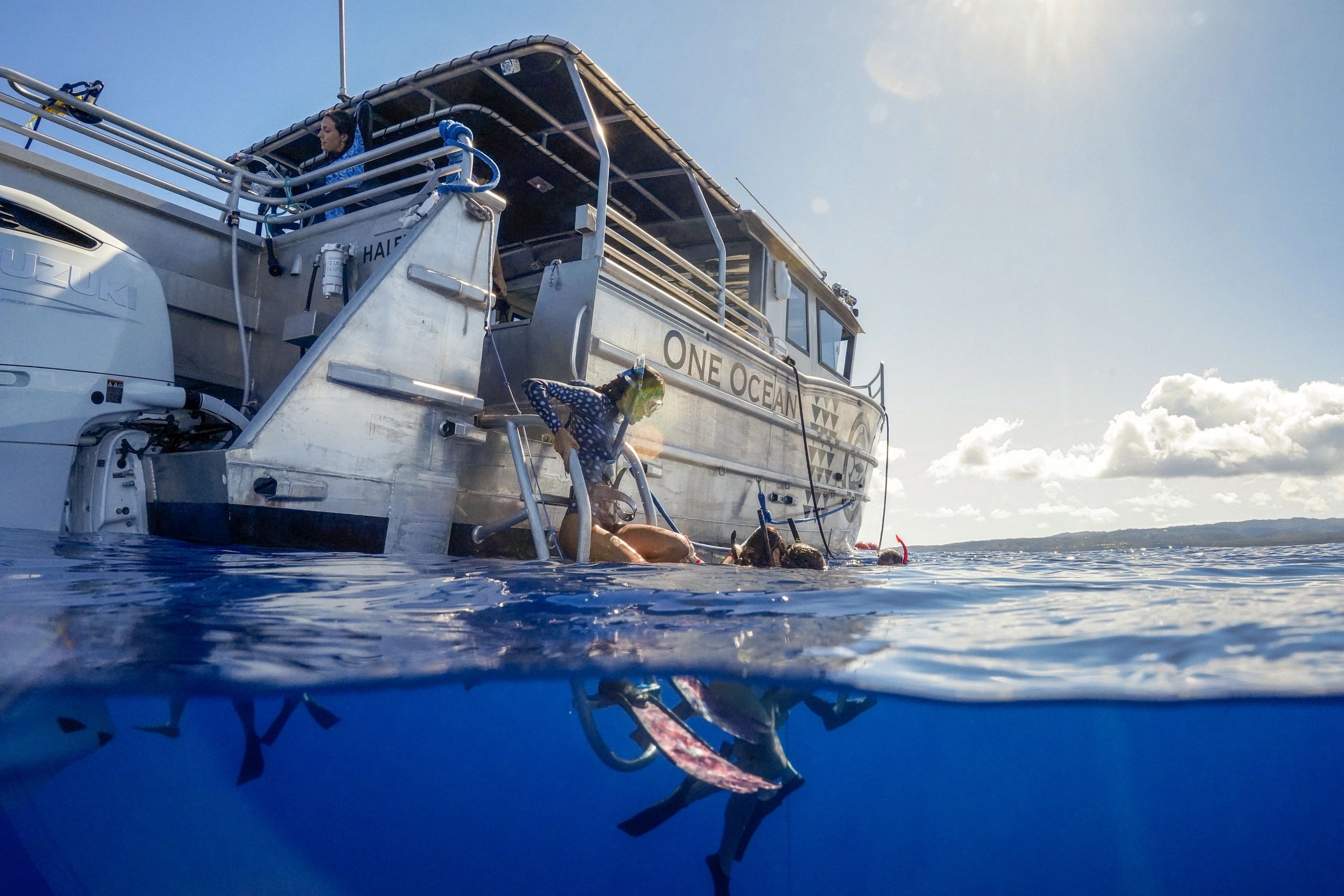 The Benefits of Shark Diving With One Ocean Diving